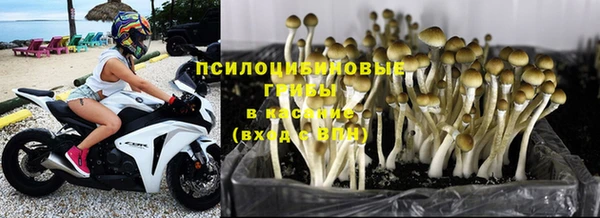 альфа пвп Коряжма