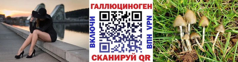 это наркотические препараты  Сыктывкар  Галлюциногенные грибы Psilocybe  ссылка на мегу зеркало 